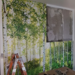 tapetsering af naturbillede