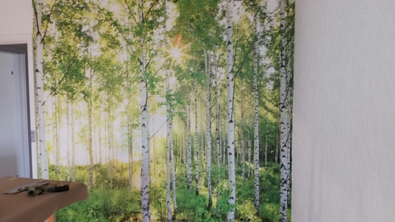 skovbillede tapetsering
